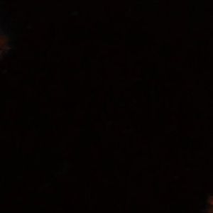 Meet your Posher, Antonio